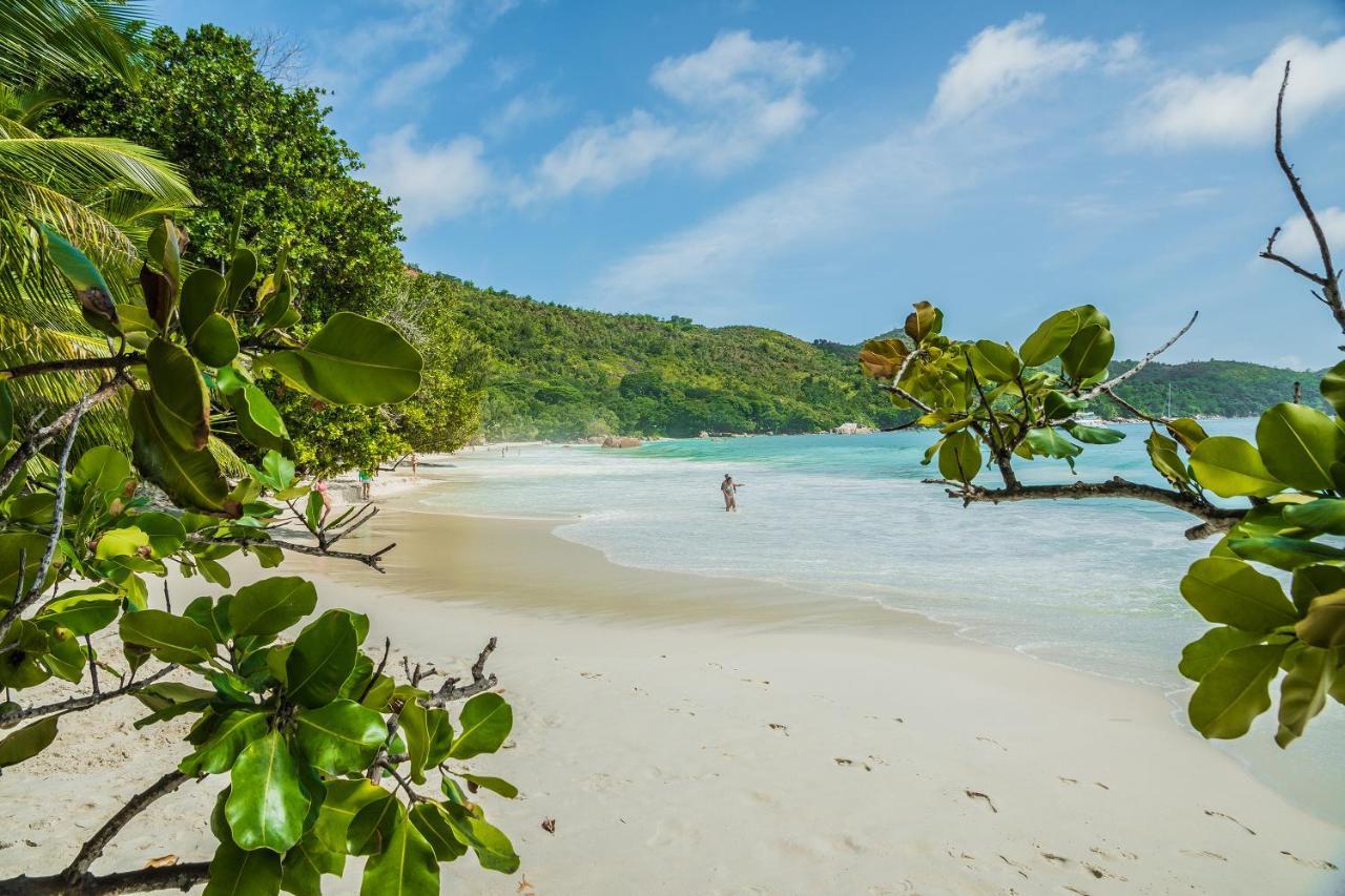 Lou Lou Bungalow Grand Anse  Bagian luar foto