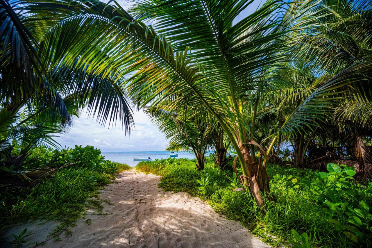 Lou Lou Bungalow Grand Anse  Bagian luar foto